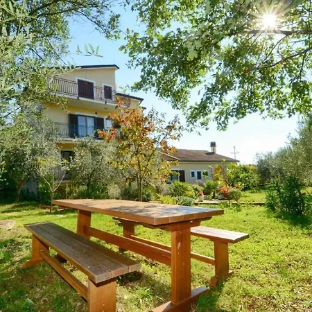 Albina 1 By Interhome Apartment *