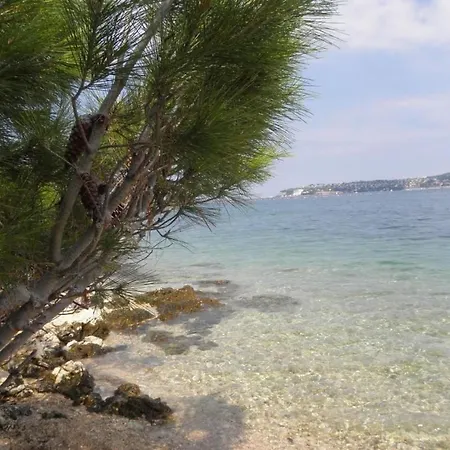 Albina 1 By Interhome